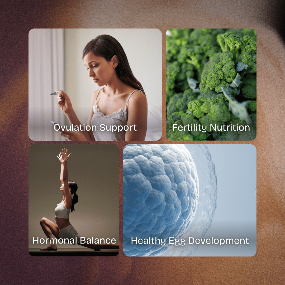 Soul Nutritions™ Restore